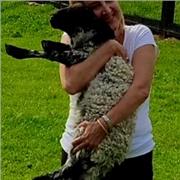 Profesora vocacional, 30 años experiencia, me encanta orientar y motivar a los alumn@s para que mejoren su aprendizaje.